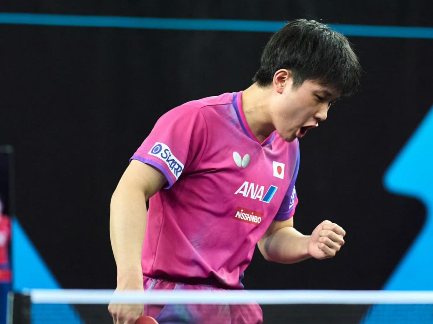 葡萄牙队横扫奥地利队，张本智和刷新纪录的简单介绍